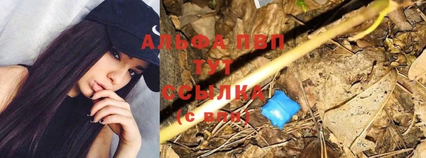 MDMA Вяземский