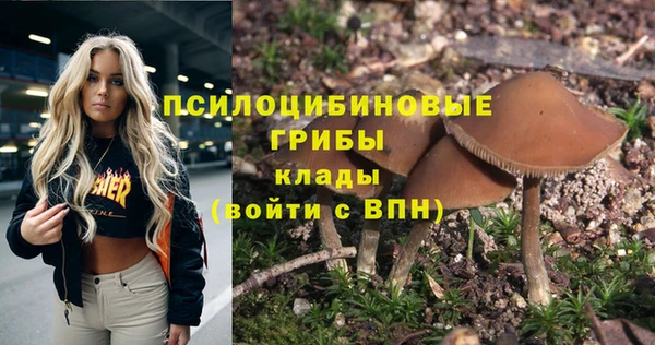 ALPHA-PVP Вязьма