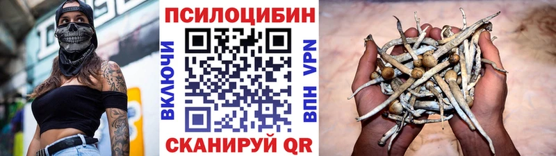 Галлюциногенные грибы MAGIC MUSHROOMS  Купить закладки  Невельск 