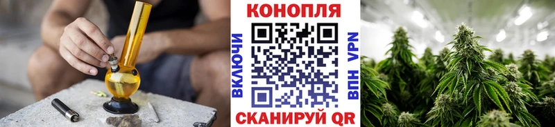 Купить где  Невельск  Бошки Шишки Amnesia 